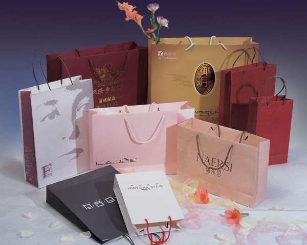 Thiết kế và in túi quà tặng - In Bao Bì Giấy - Công Ty Cổ Phần Thiết Kế Và In Công Nghiệp Bảo Minh